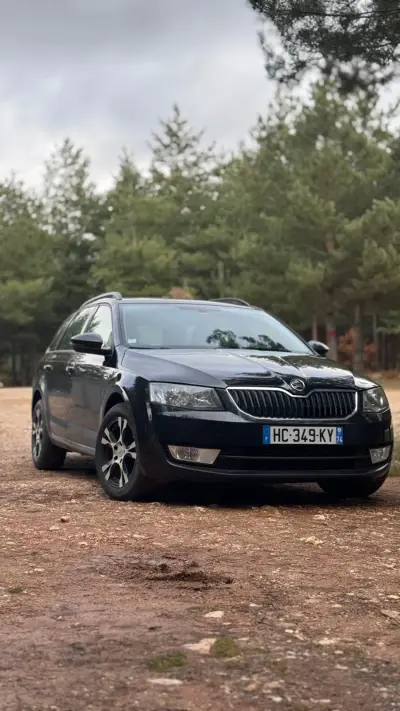 Skoda Octavia 2016 diesel në Viti